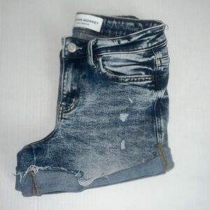 Flying‎ monkey short